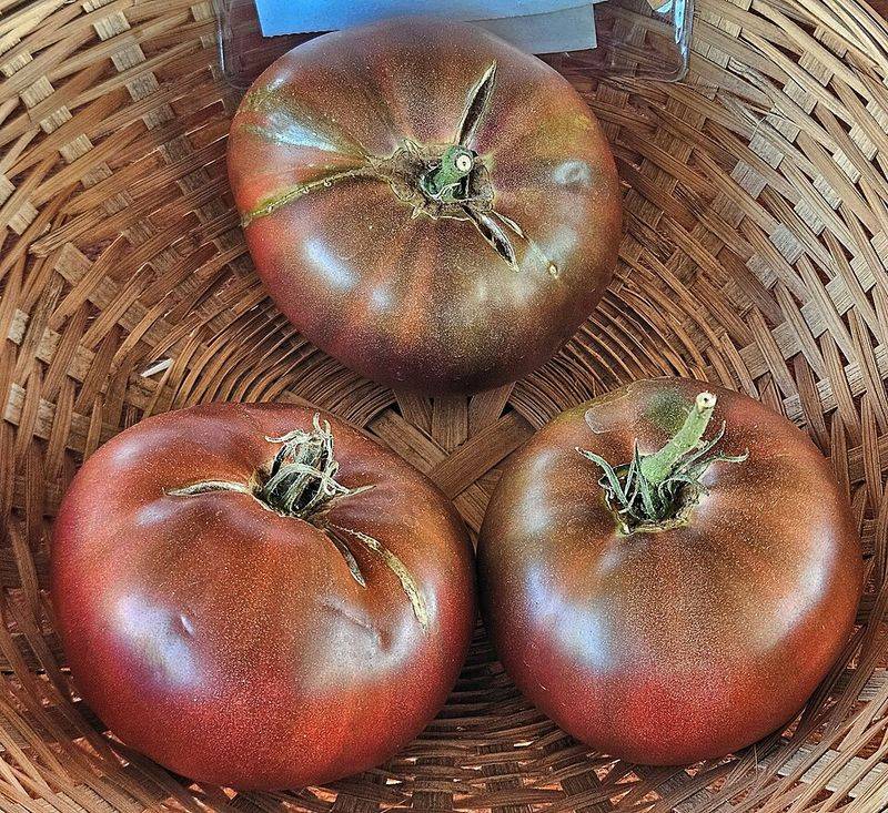 Start With Peak-Season Southern-Style Tomatoes