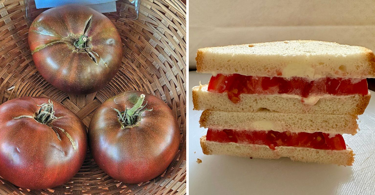 The Southern Secret To The Perfect Tomato Sandwich