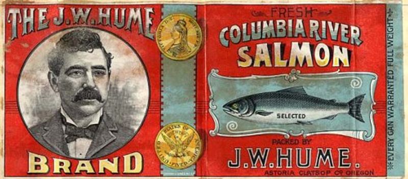 Nutrition Levels Can Actually Beat Fresh Fillets