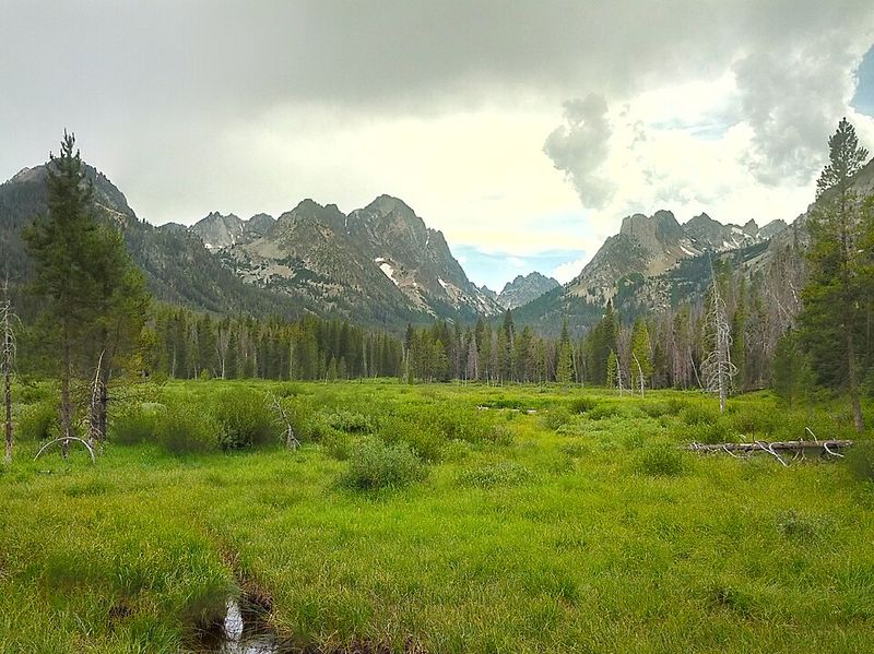 Wildlife Encounters In Pristine Wilderness