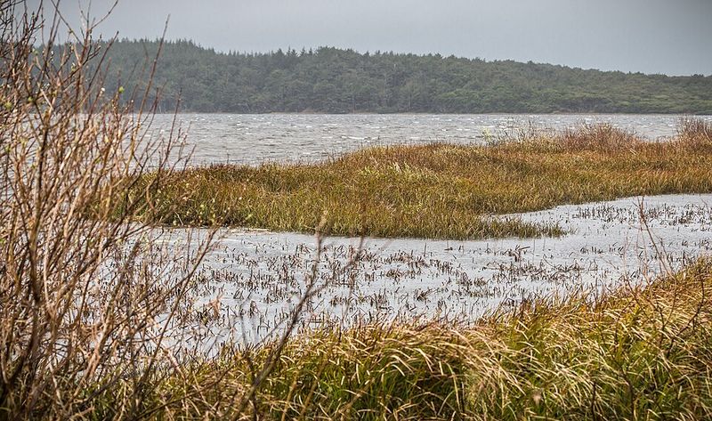 Budget-Friendly Camping