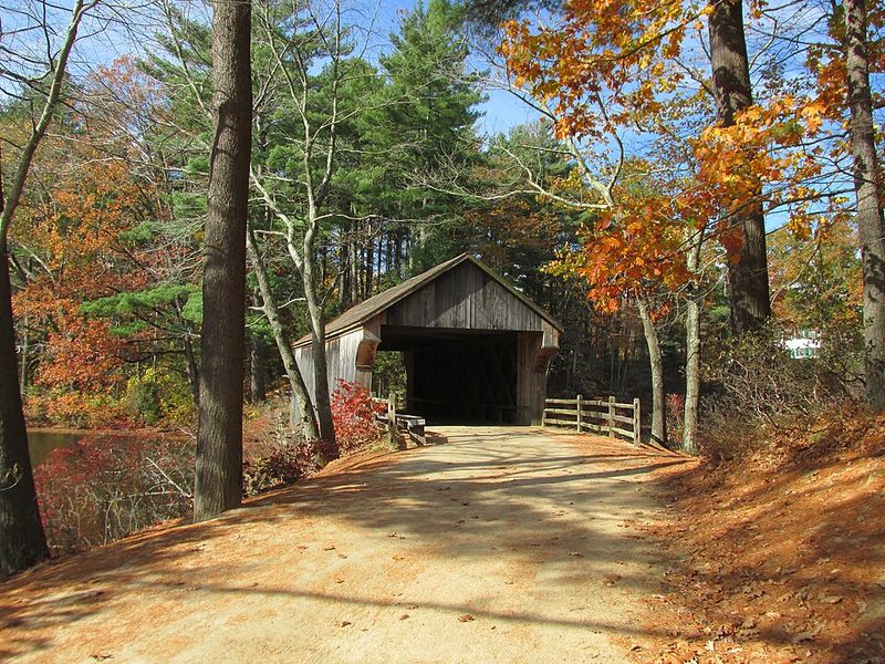 Timing Your Visit Right