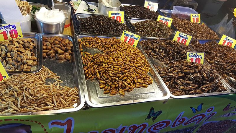 Edible Insect Snacks (Roasted Insects As Street Food)
