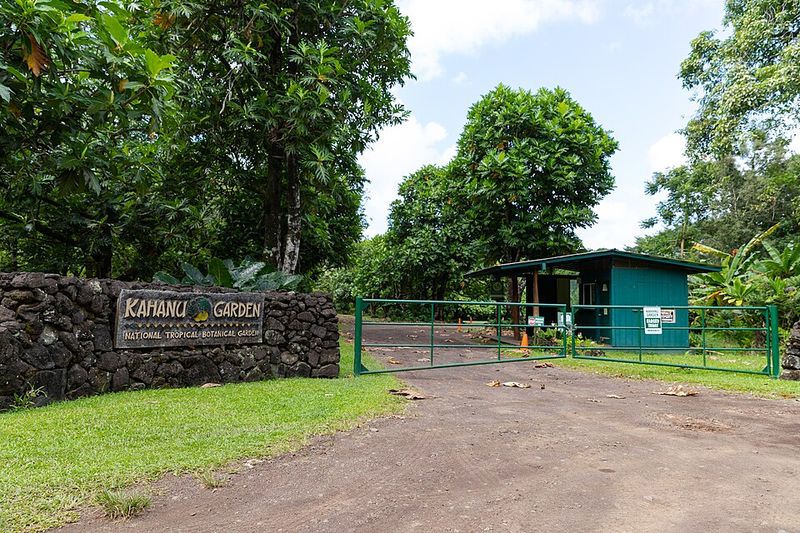 Kahanu Garden Cultural Treasures