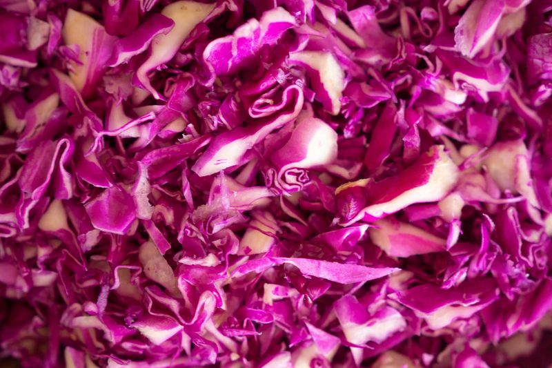 Shredded Cabbage Slaw