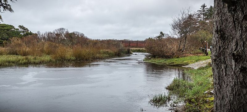 Timing Your Visit Right