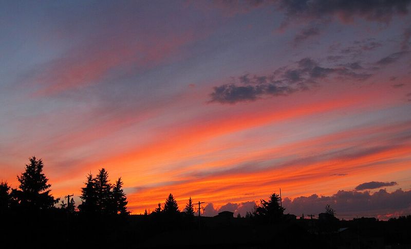 Planning the Journey