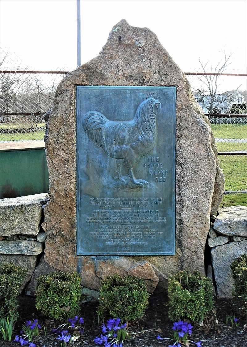 Rhode Island Red Monument In Adamsville