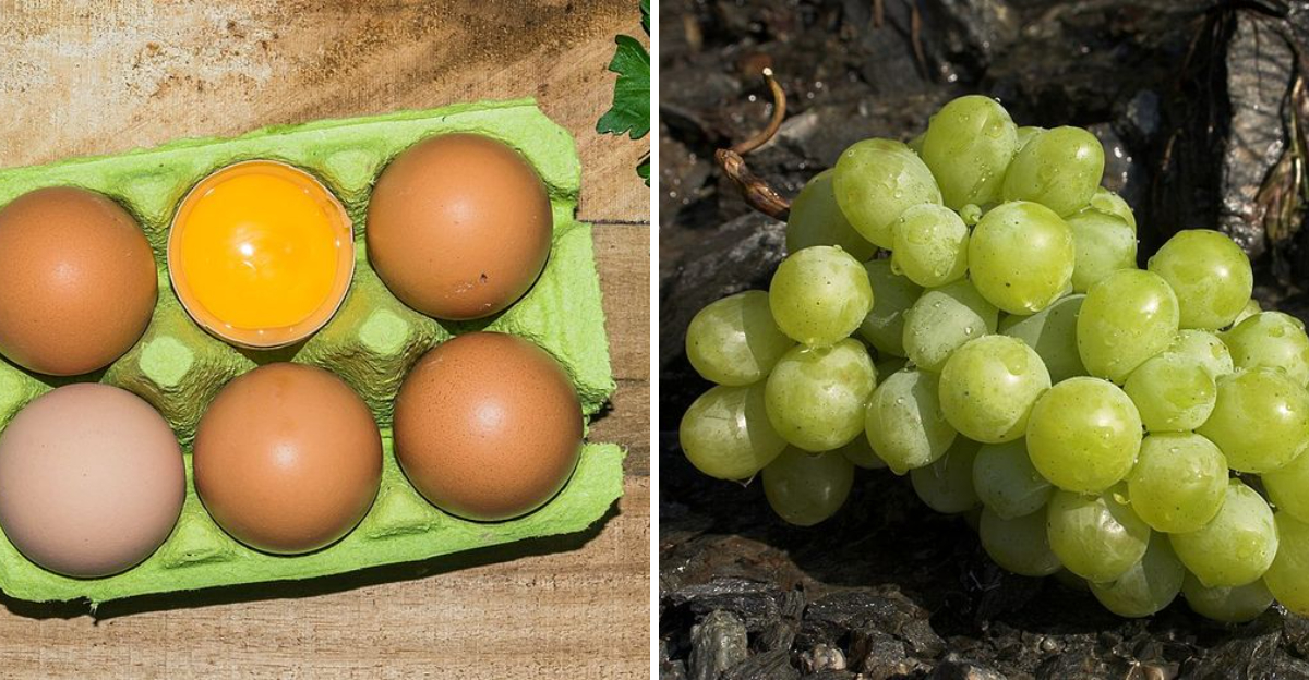 10 Healthy Late-Night Snacks For Better Sleep