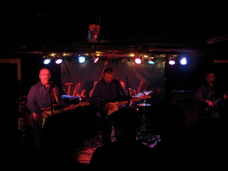 Surfin' Bird by The Trashmen