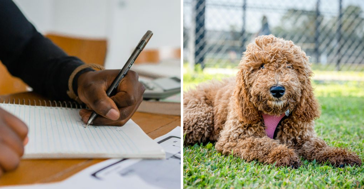 15 Strange Beliefs That Felt Perfectly Normal 60 Years Ago