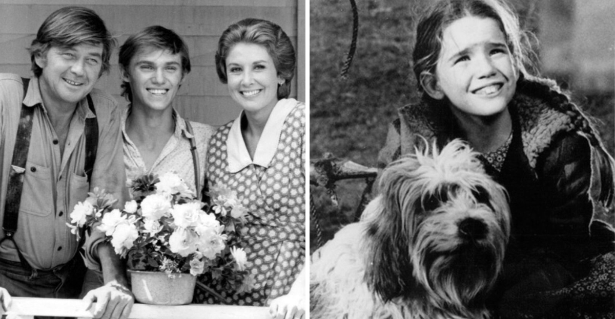 16 Greatest Television Shows Of The 1970s