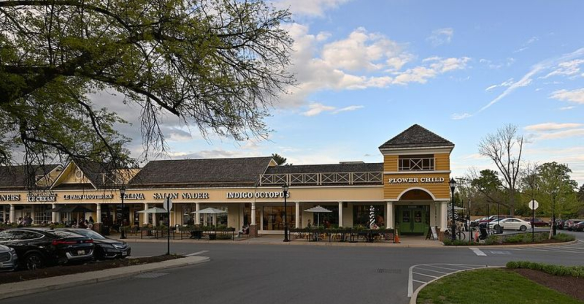 4 Cheesecake Factory Sister Restaurants Most People Never Realize Exist