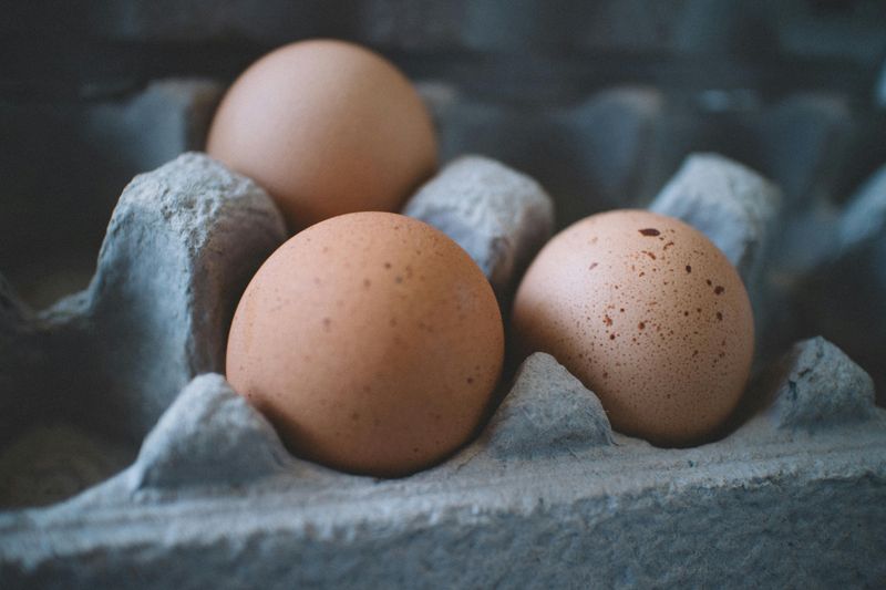 Eggs - The Protein Powerhouse