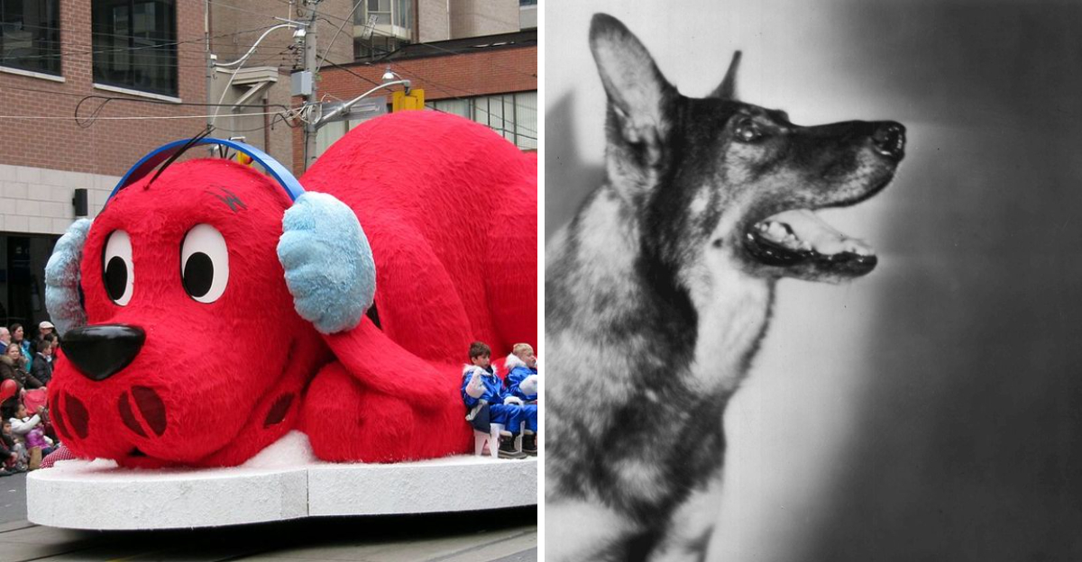 7 TV Dogs Who Became Stars And Won Viewers Over Instantly