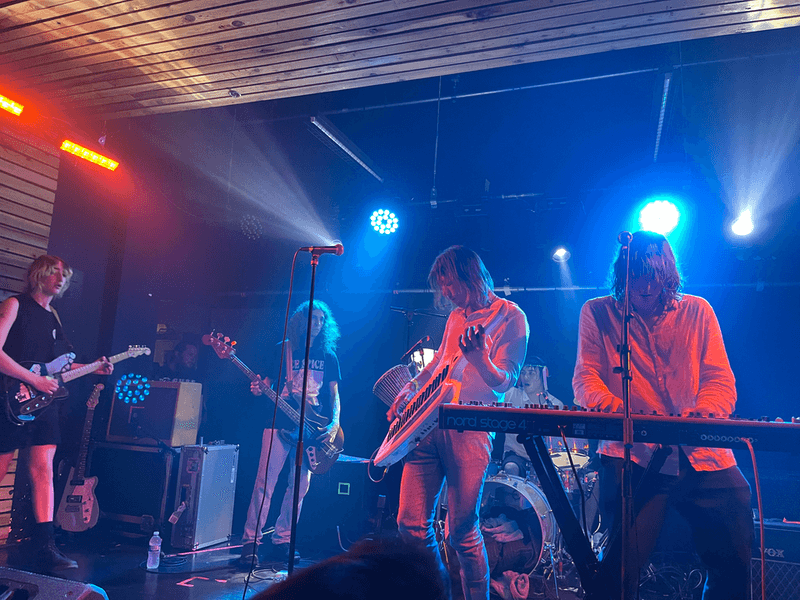 Geese – Getting Killed