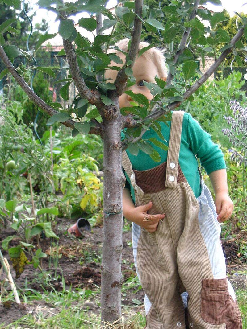 Hand Me Down Overalls With Patches