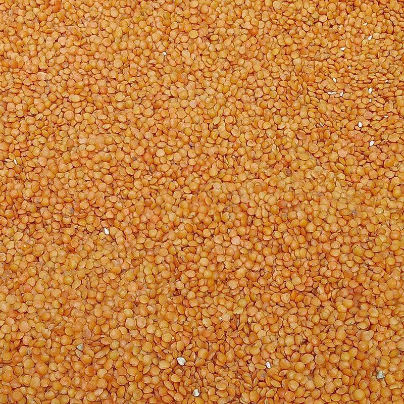 Lentils