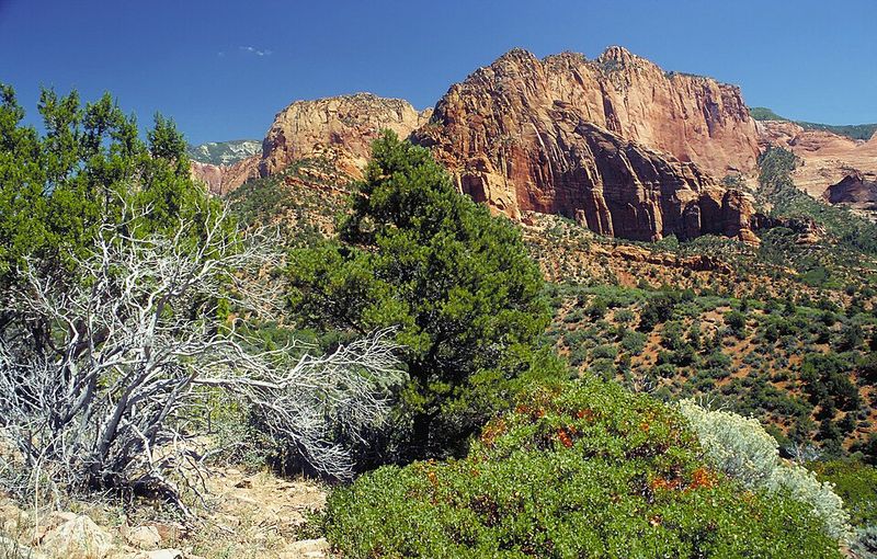 Zion National Park, Utah