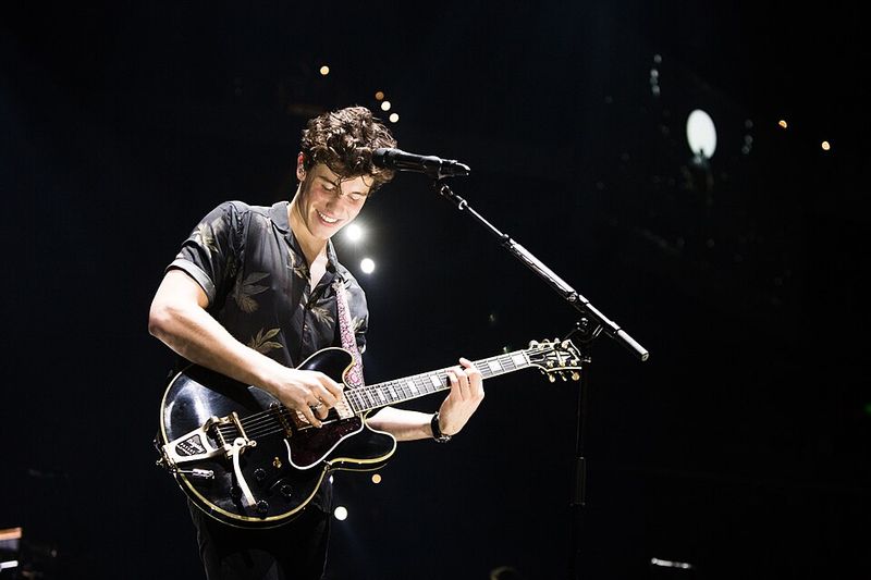 Shawn Mendes: Six Second Vines To Stadium Tours