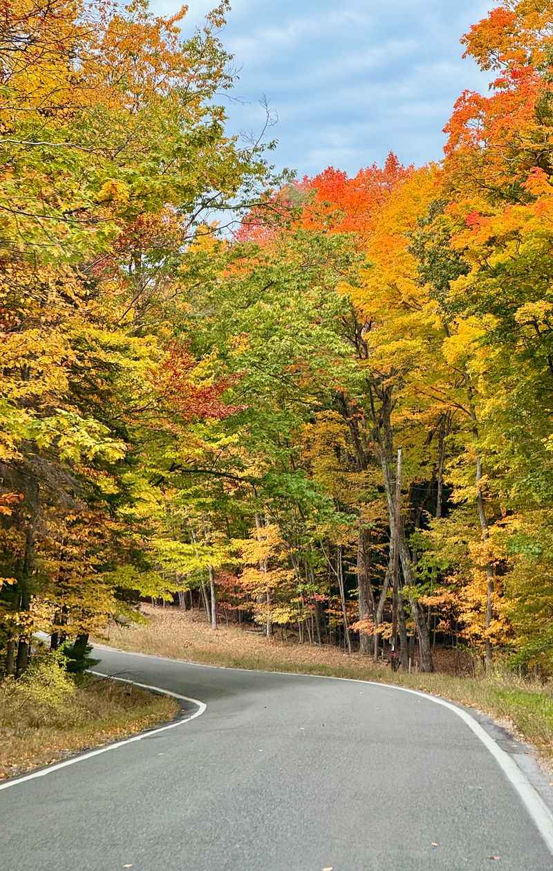 Harbor Springs Tunnel of Trees (M-119)