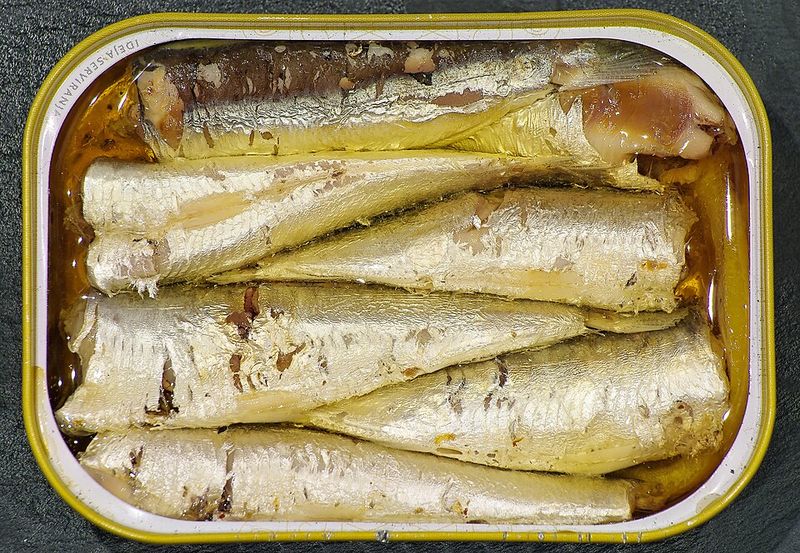 Canned Sardines