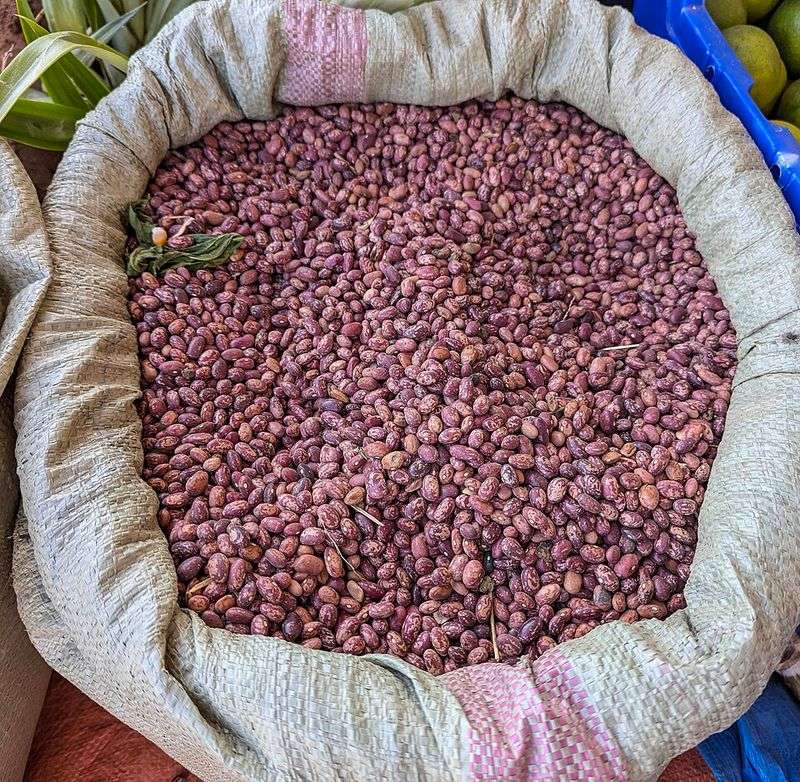 Dried Beans