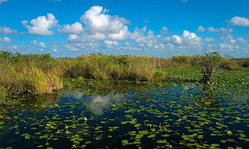 Everglades National Park, Florida
