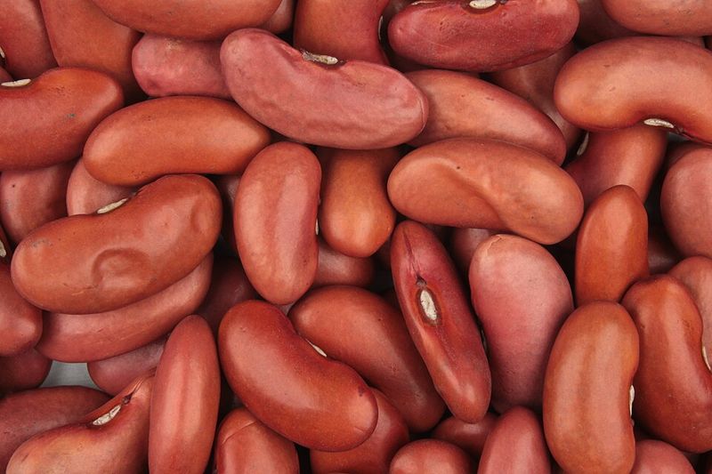 Kidney Beans