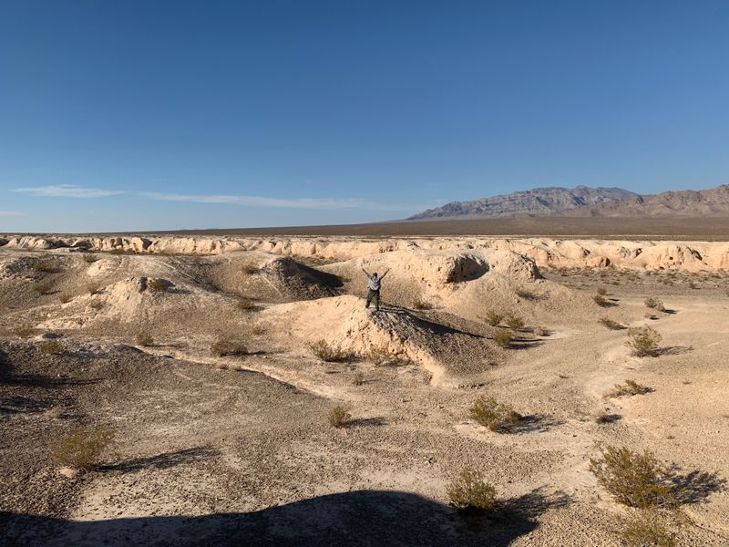 Tule Springs Fossil Beds National Monument, Nevada