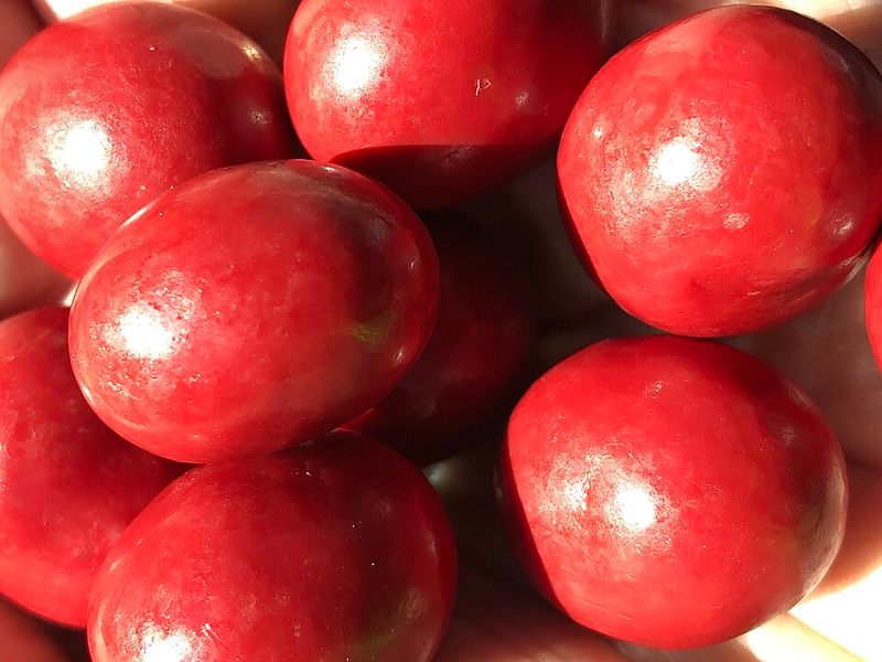 Chocolate-Covered Cranberries