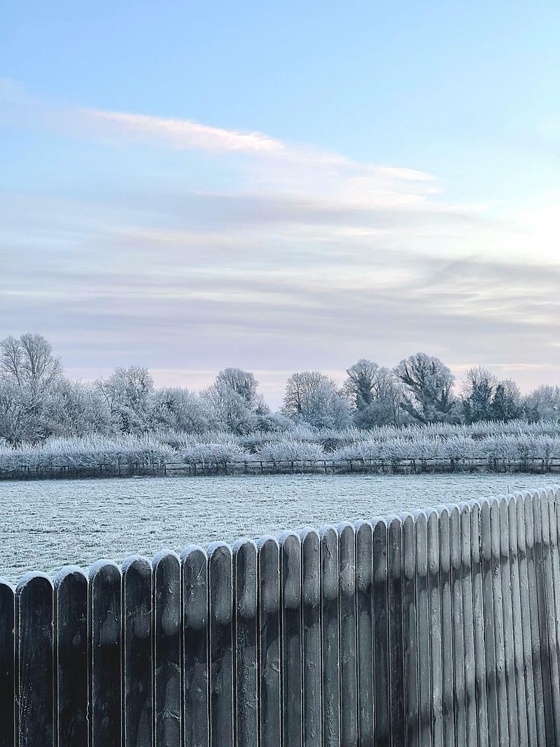 Frosted Fields Highlight Rural Beauty