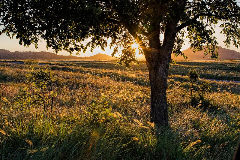 Wichita Mountains Wildlife Refuge, Oklahoma
