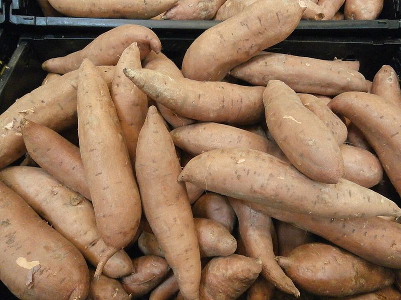 Sweet Potatoes