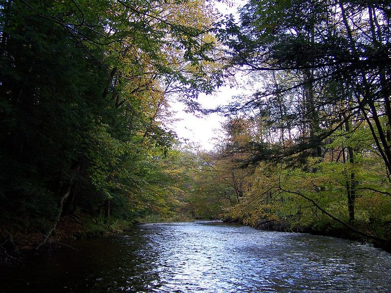 Classic Upstate Fall Color Along The Water