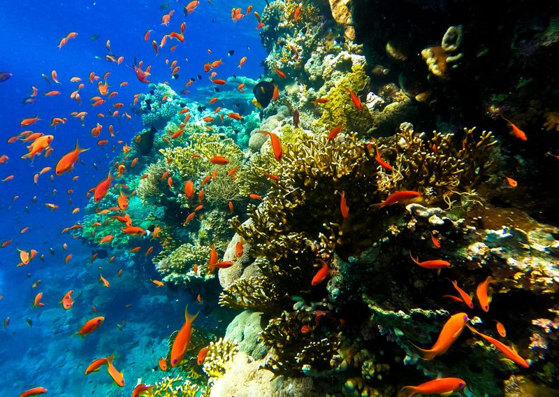 The Blue Hole Dive Site, Dahab, Egypt