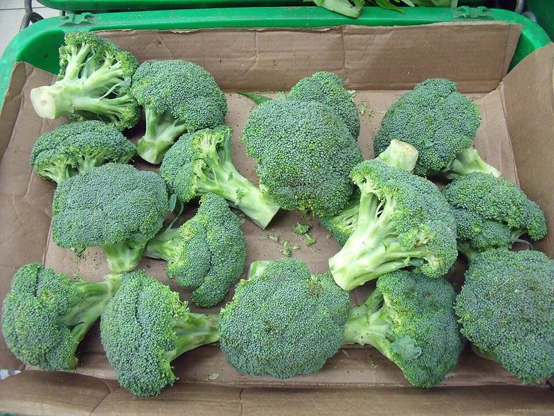 Broccoli
