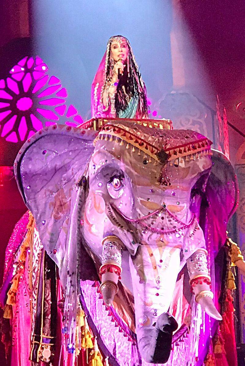 Stuck On You (2003) - Herself