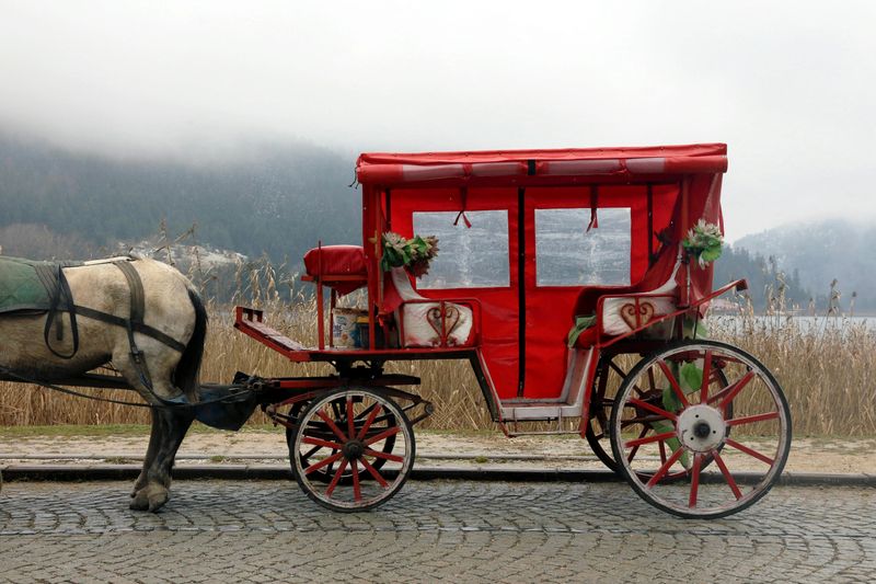 Horse-Drawn Carriages With Personal Coachmen
