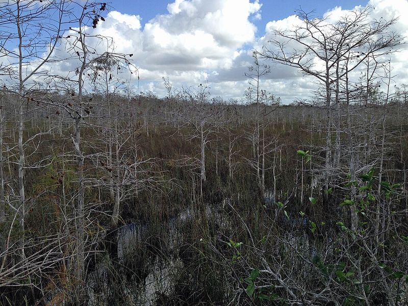 Everglades National Park, Florida