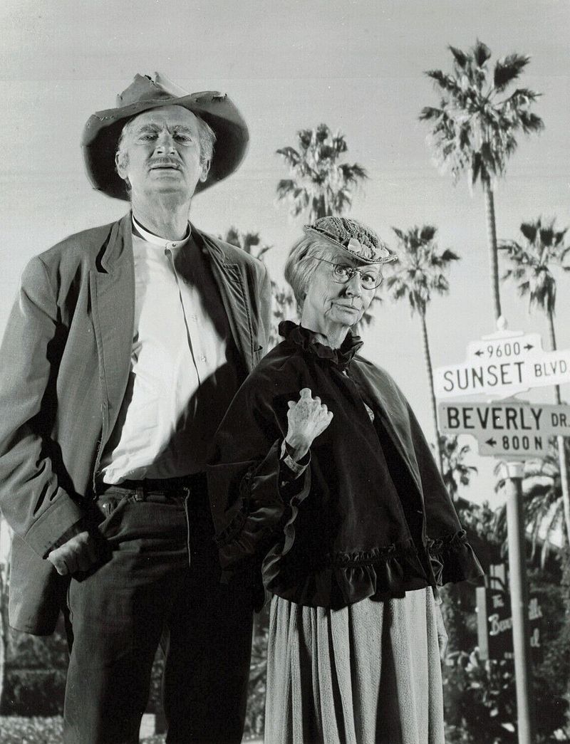 The Beverly Hillbillies