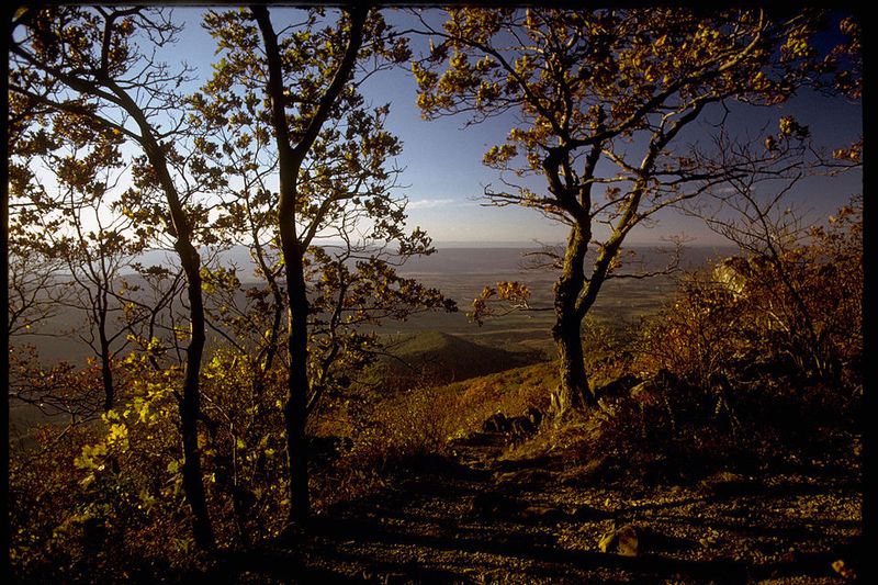 Shenandoah National Park, Virginia