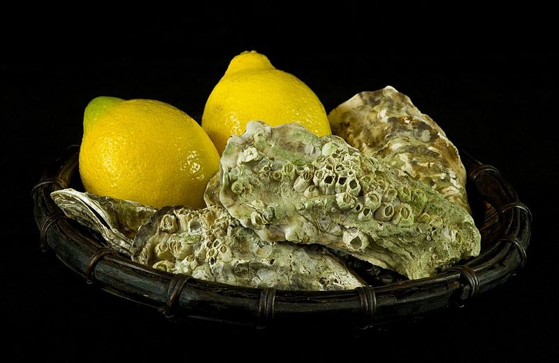Oysters