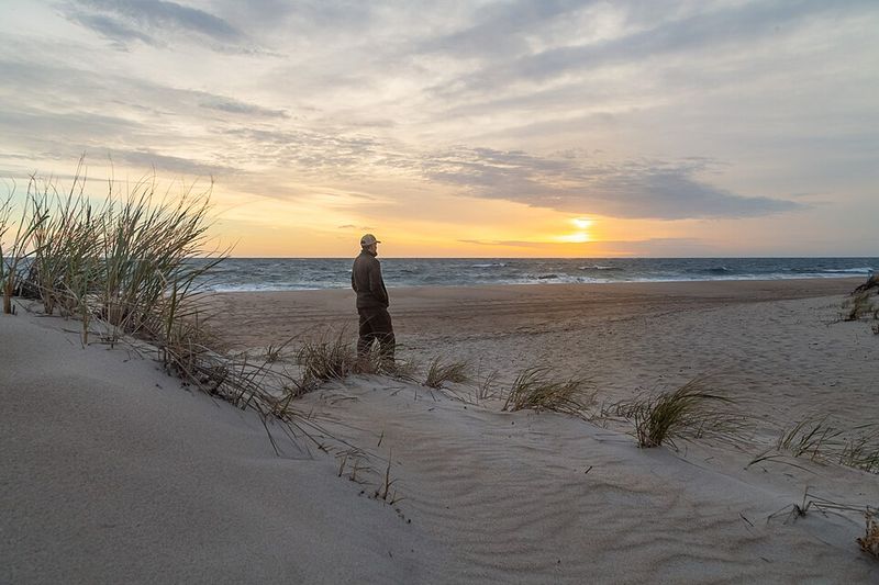 Cape Henlopen State Park, Delaware