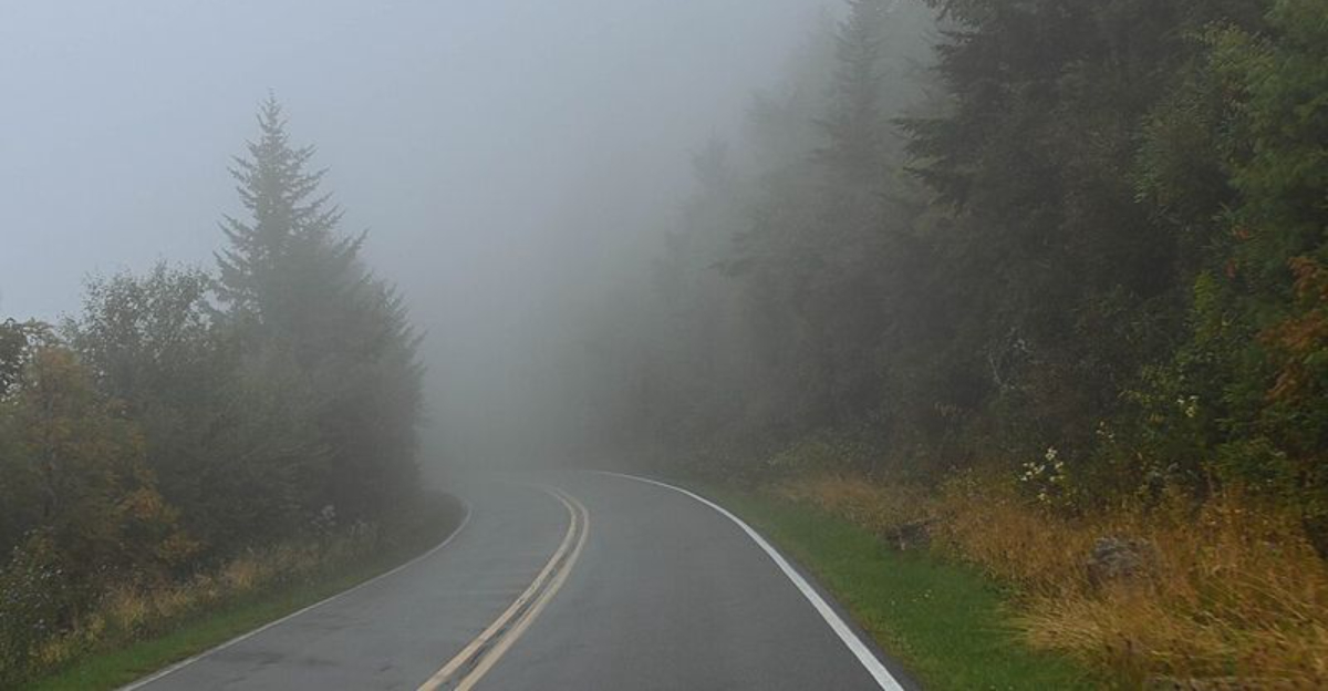 How Many Of These 15 Most Dangerous U.S. Road Trips Have You Driven