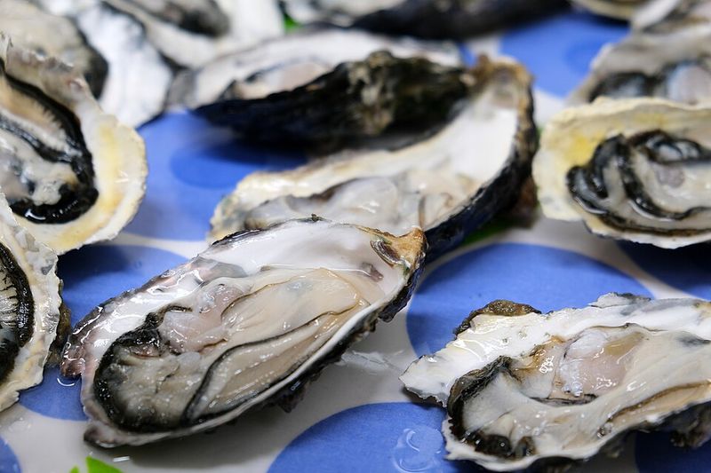 Raw Oysters from Sketchy Places