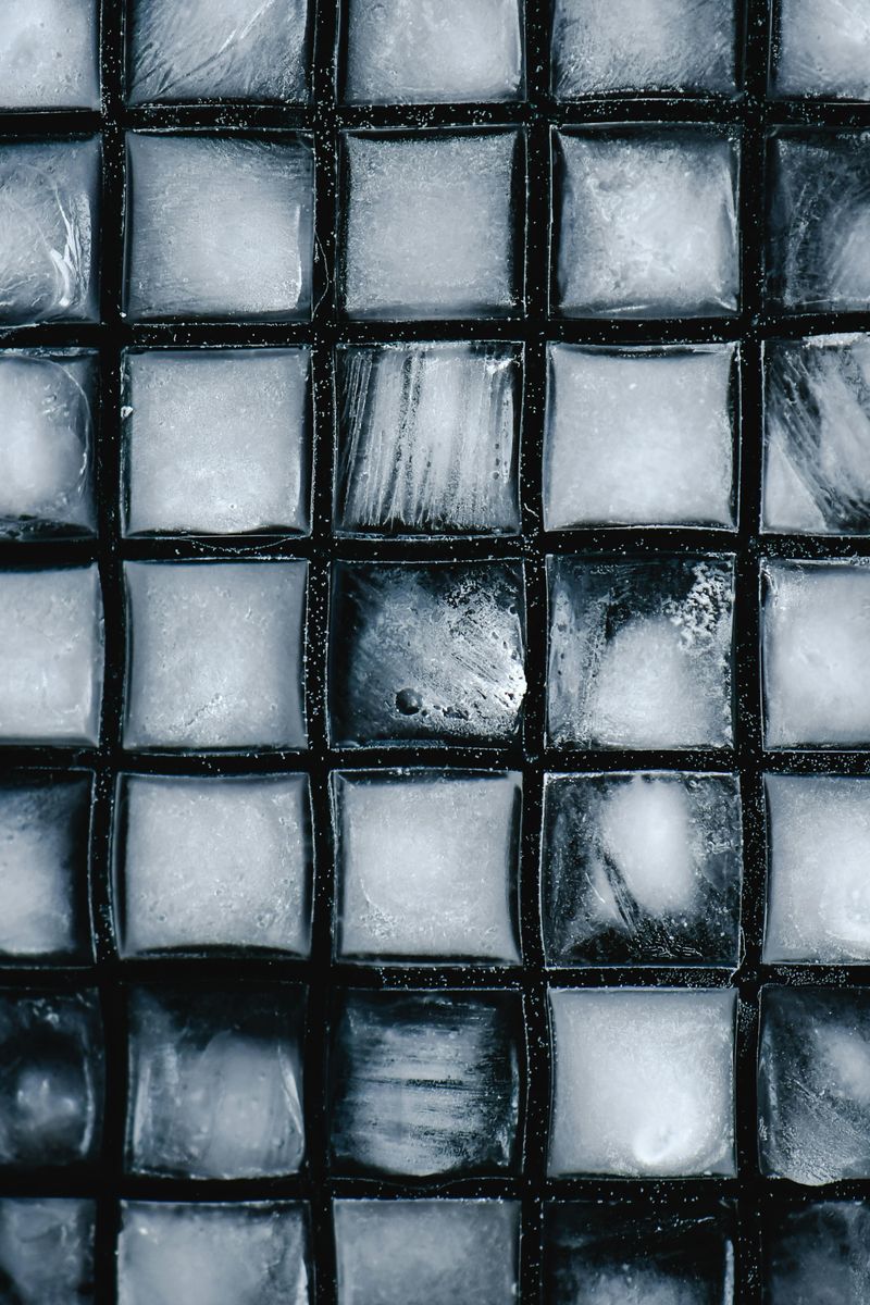 Metal Ice Cube Tray