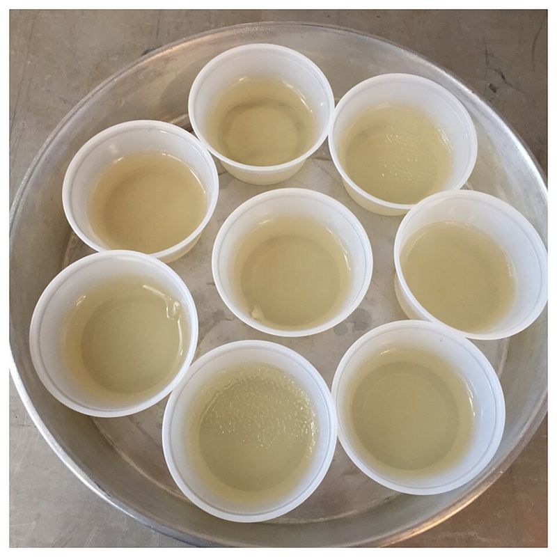 Champagne Jello Shots