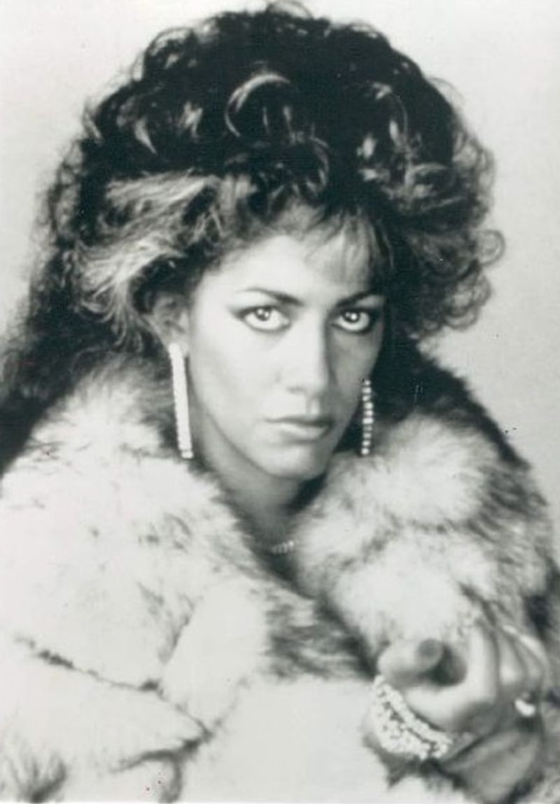 The Glamorous Life by Sheila E.