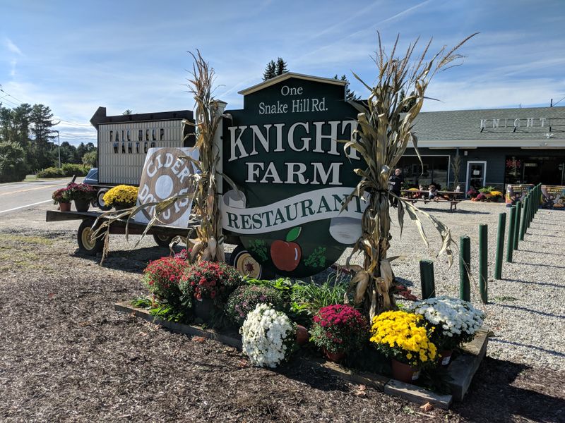 Roots and Beginnings